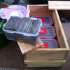 Needles for Geotextile